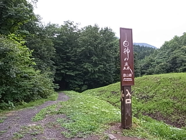 c0093205_211881.jpg
