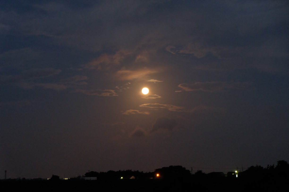 f0113108_5205197.jpg