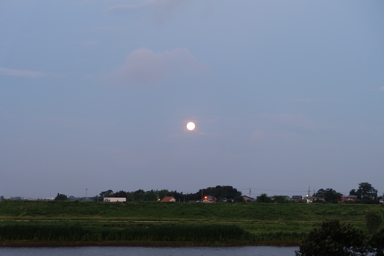 f0113108_5241441.jpg