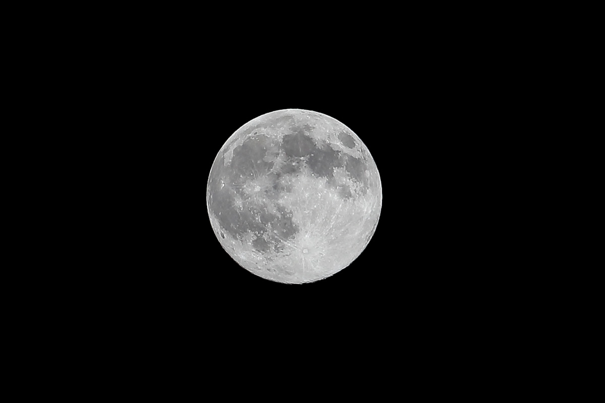a0157609_511791.jpg