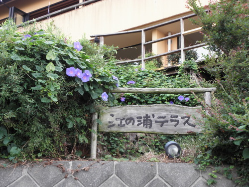 b0342516_22512667.jpg
