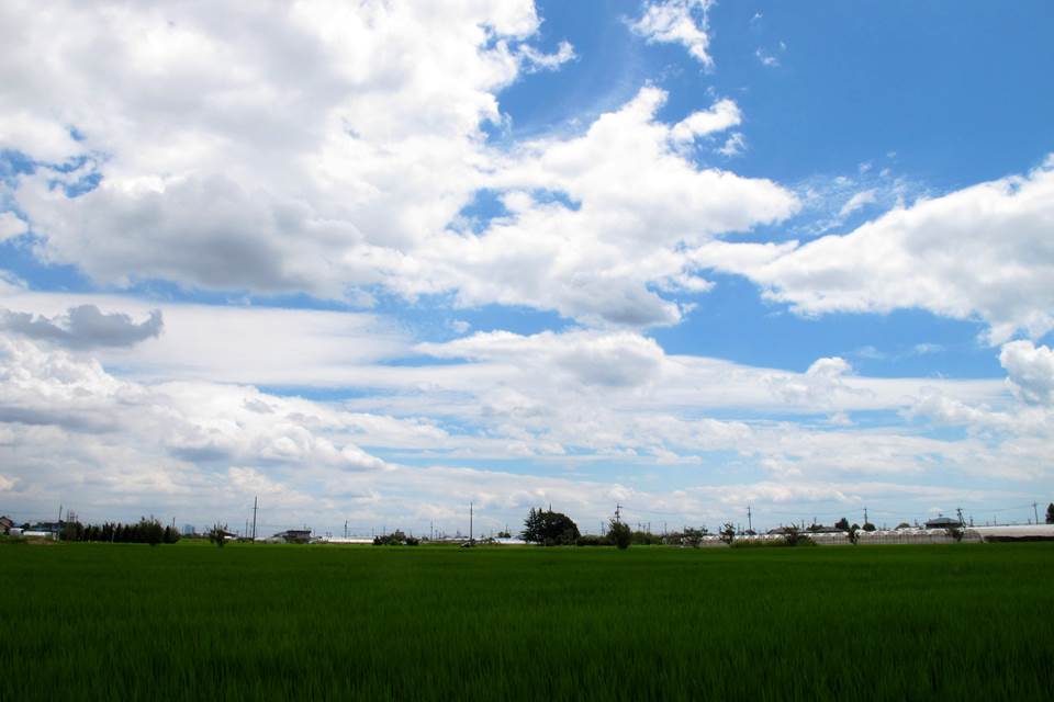 f0222919_20471299.jpg