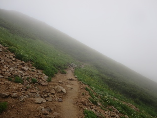 f0149422_10494721.jpg