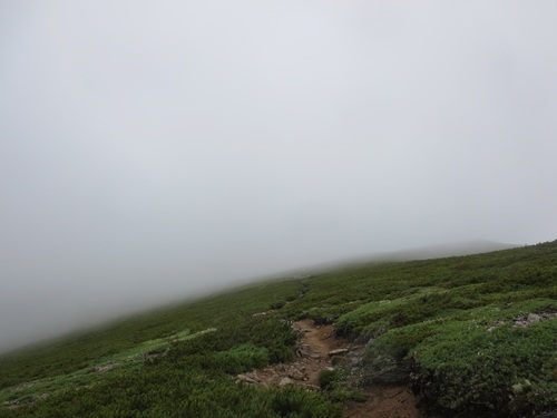f0149422_1050111.jpg