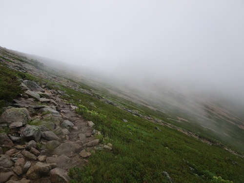 f0149422_1051078.jpg