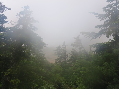 f0149422_10512529.jpg