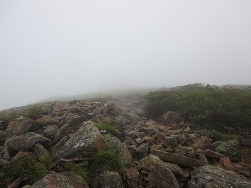 f0149422_1053037.jpg