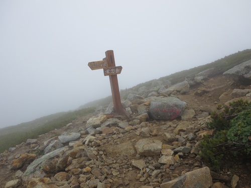 f0149422_10534525.jpg