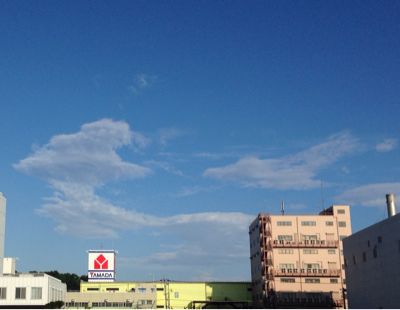 b0203925_13501732.jpg