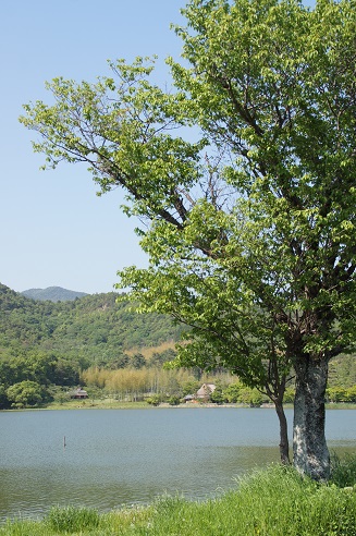 c0235725_10154821.jpg