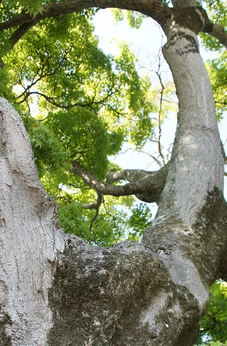 c0235725_10164087.jpg