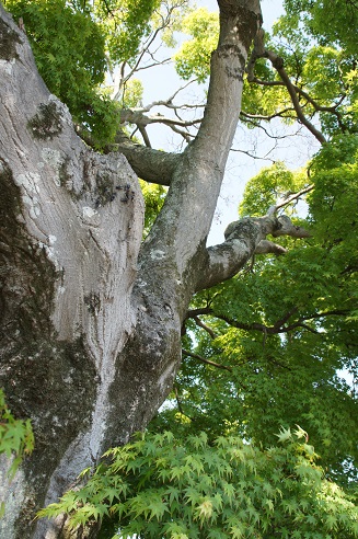 c0235725_10203192.jpg