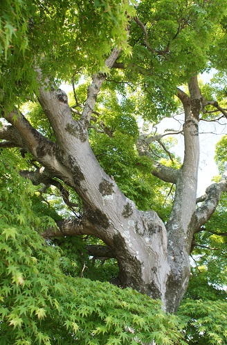 c0235725_10215724.jpg