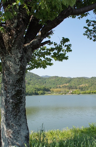 c0235725_10253181.jpg