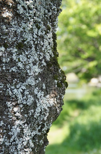 c0235725_10264492.jpg