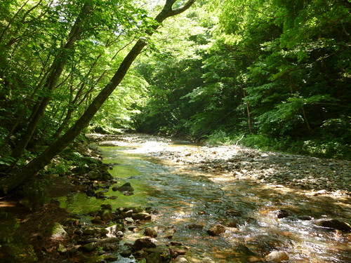 b0195927_16552536.jpg