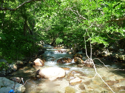 b0195927_2253275.jpg