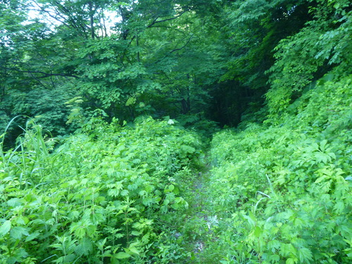 b0195927_23103447.jpg