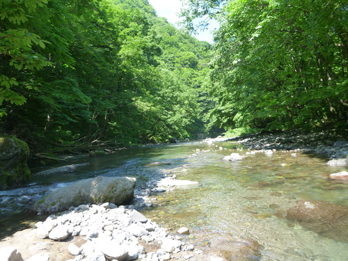 b0195927_2316639.jpg