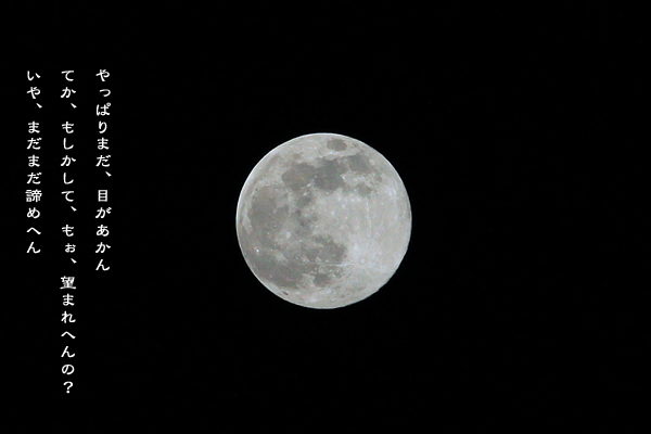 d0042827_010766.jpg