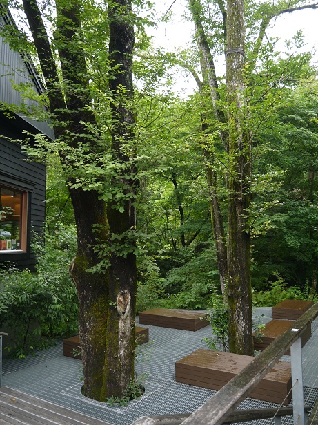 f0231829_23391684.jpg