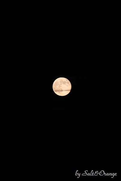 e0246732_21083724.jpg