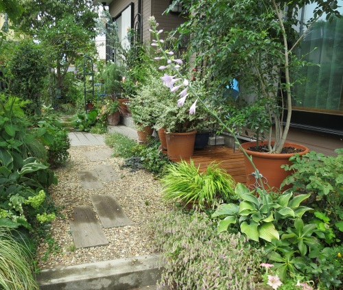 b0178339_16270030.jpg