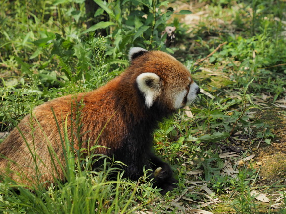 a0149740_23592187.jpg