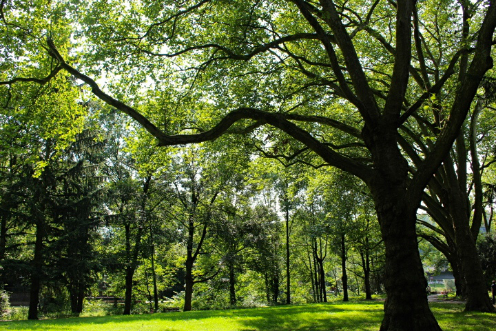 c0153740_15381814.jpg