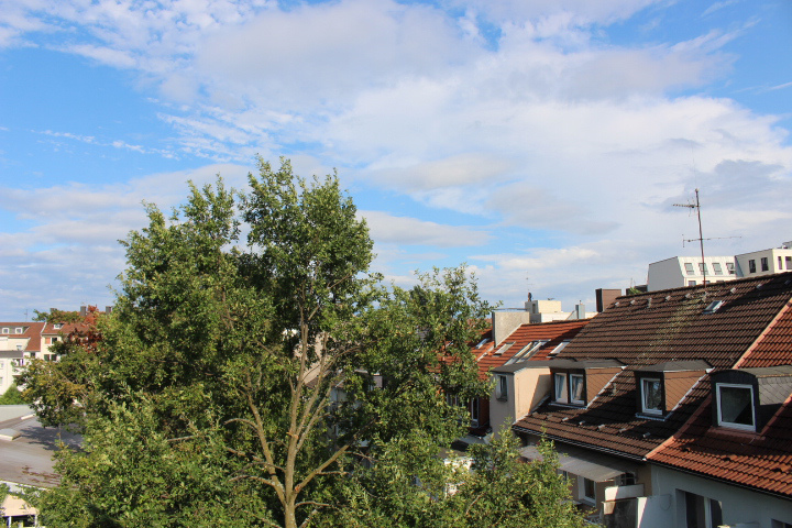 c0153740_15402988.jpg
