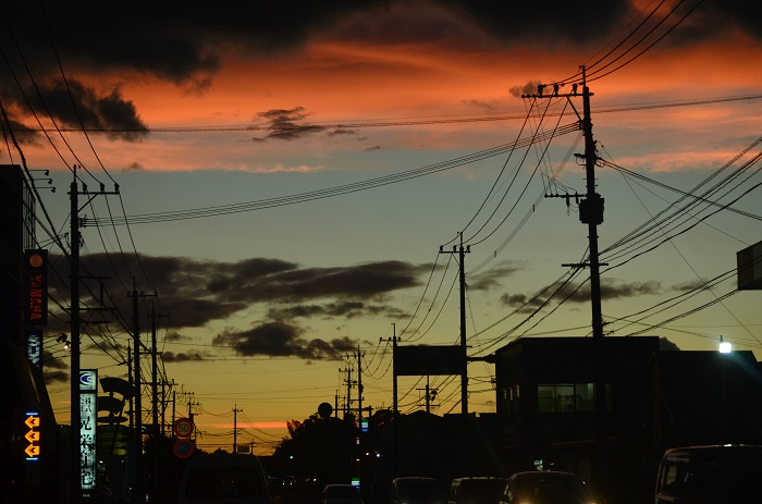 a0146442_832179.jpg