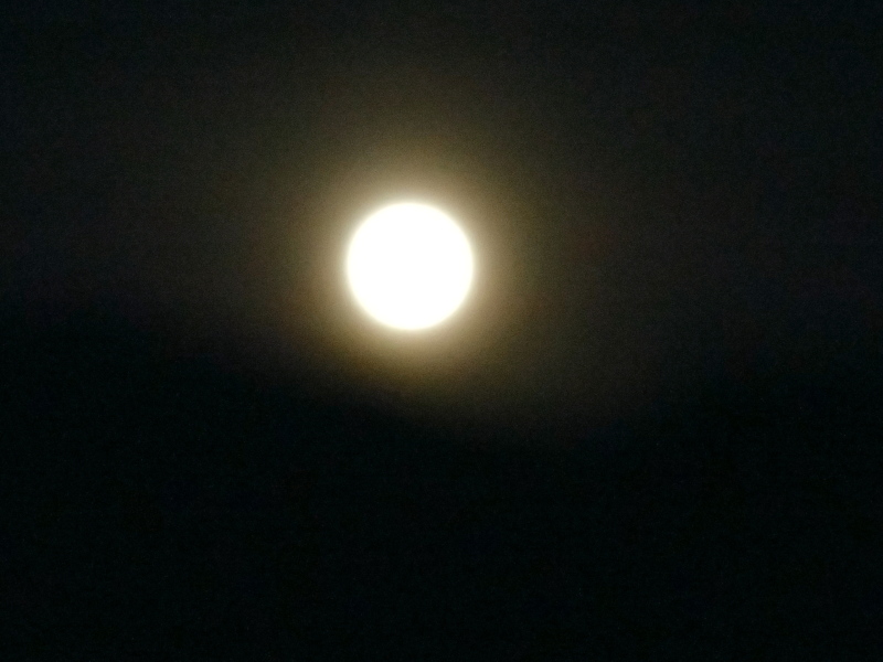 b0190242_11223215.jpg