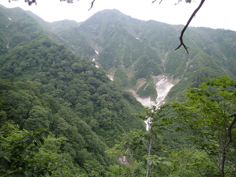 b0190242_1124519.jpg