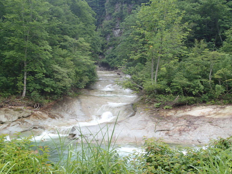 b0190242_11333061.jpg