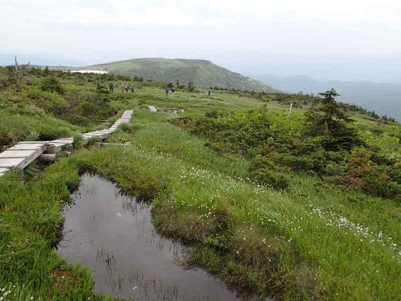 b0190242_1133630.jpg