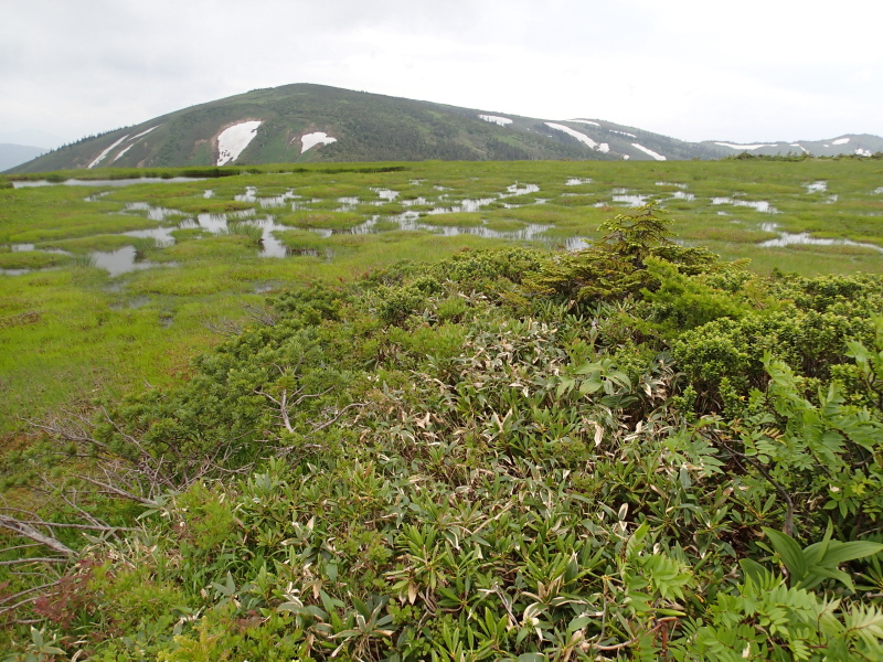 b0190242_1137187.jpg