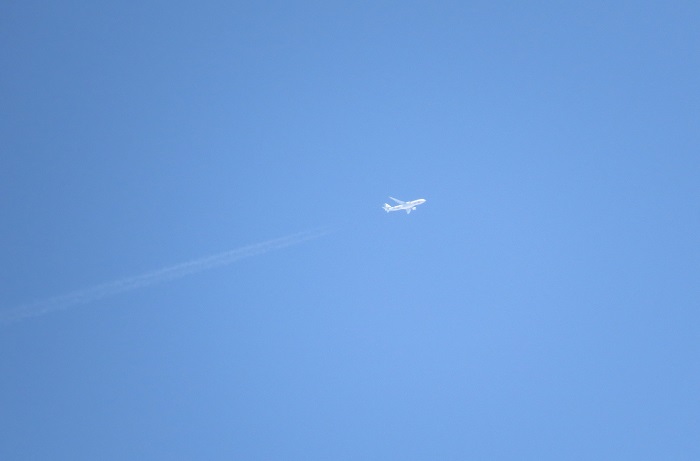 b0288942_8491523.jpg