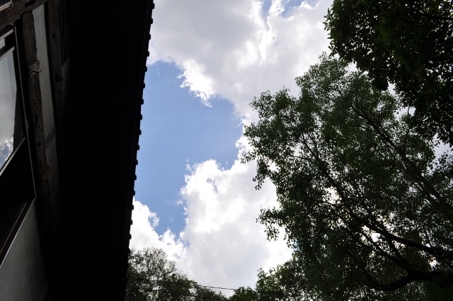d0177849_16543793.jpg