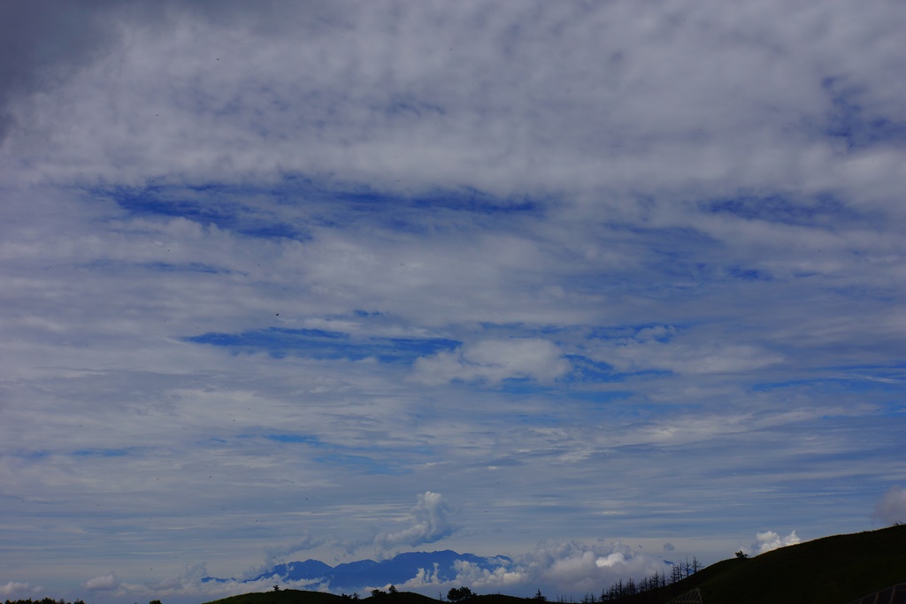 e0223456_8564232.jpg