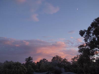 c0011862_2020354.jpg