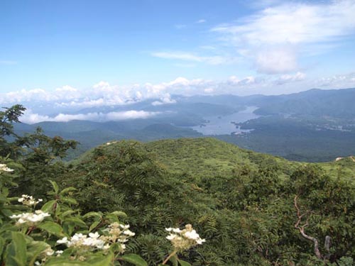 c0011862_2074677.jpg
