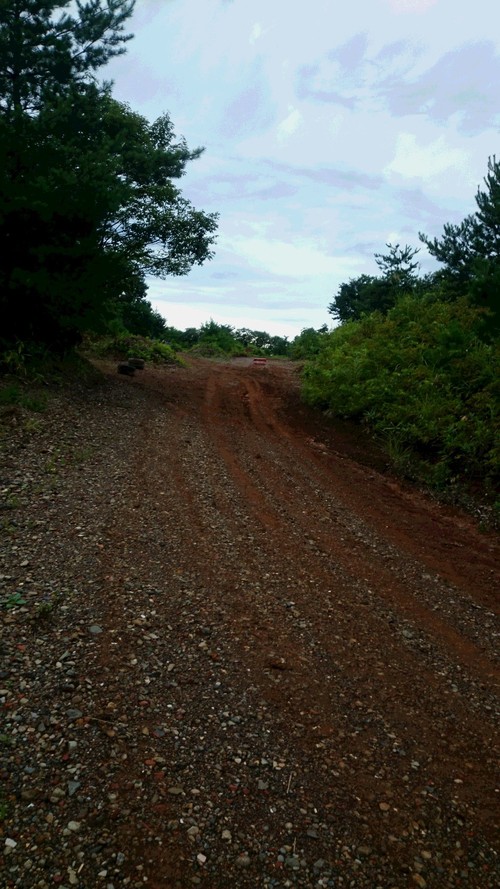f0139466_9382720.jpg