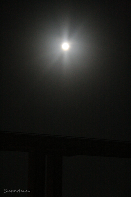 b0120269_1531415.jpg