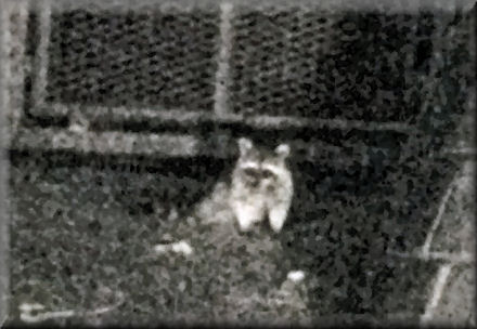 e0099375_23334522.jpg