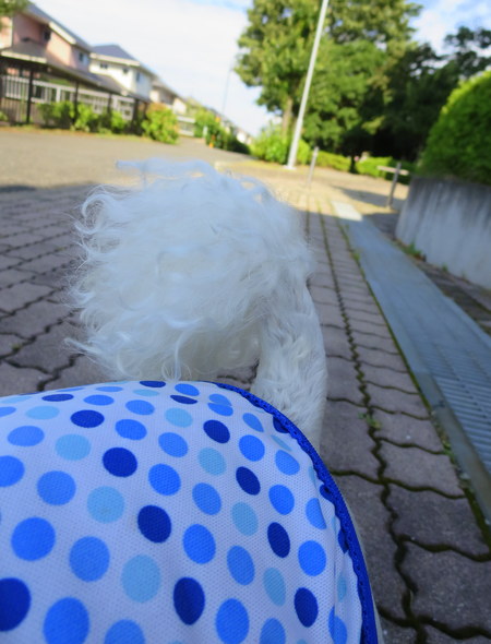 d0264176_21183835.jpg