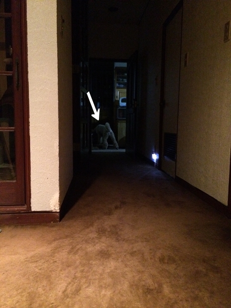 c0283778_1816546.jpg
