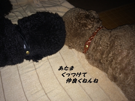 c0283778_1823941.jpg