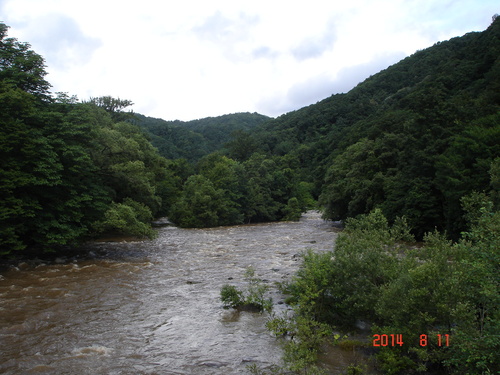 d0165378_1502046.jpg