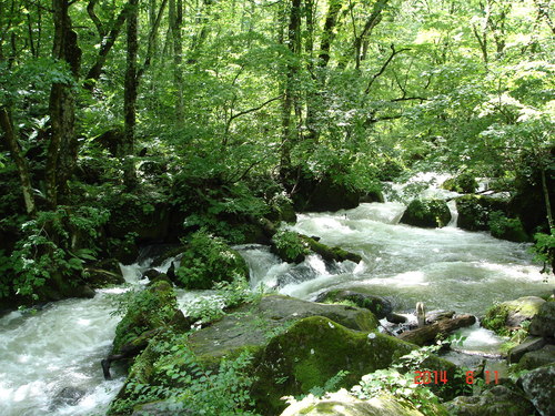 d0165378_153441.jpg