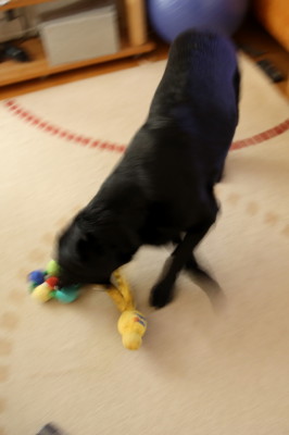 f0037378_10325912.jpg